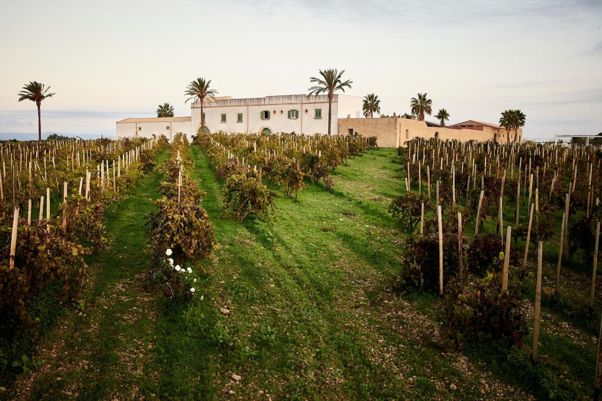 Agriturismo Baglio Donnafranca Wine Resort Marsala Kültér fotó