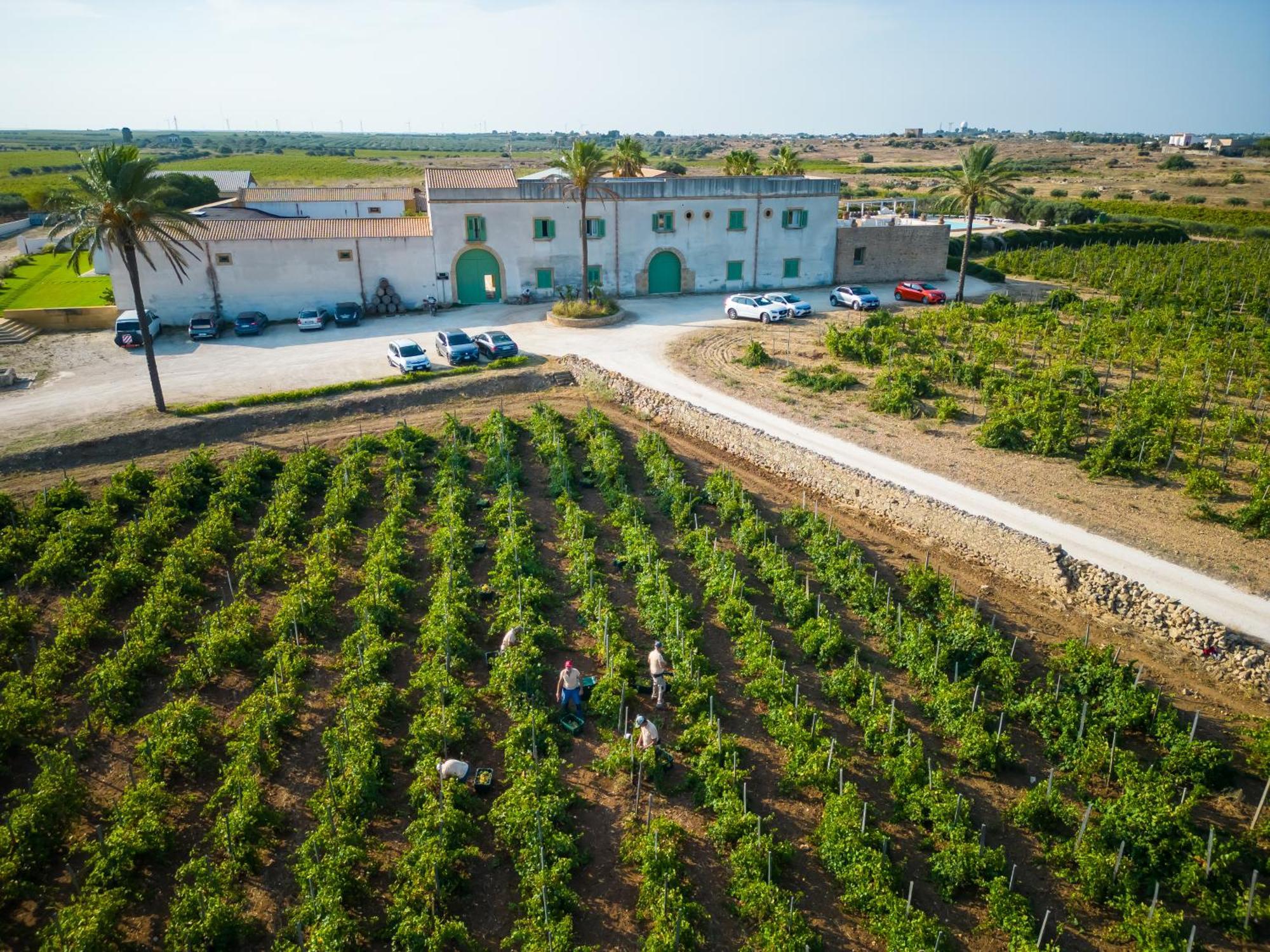 Agriturismo Baglio Donnafranca Wine Resort Marsala Kültér fotó