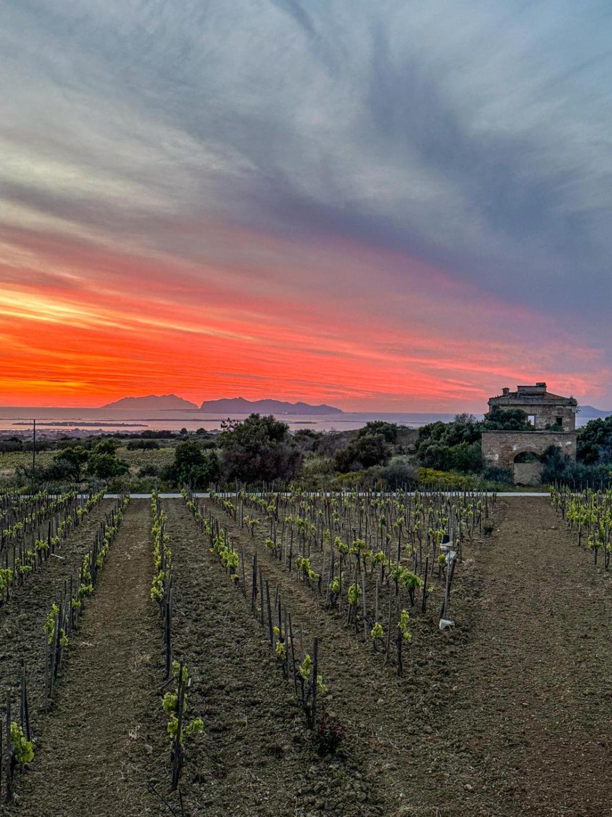 Agriturismo Baglio Donnafranca Wine Resort Marsala Kültér fotó