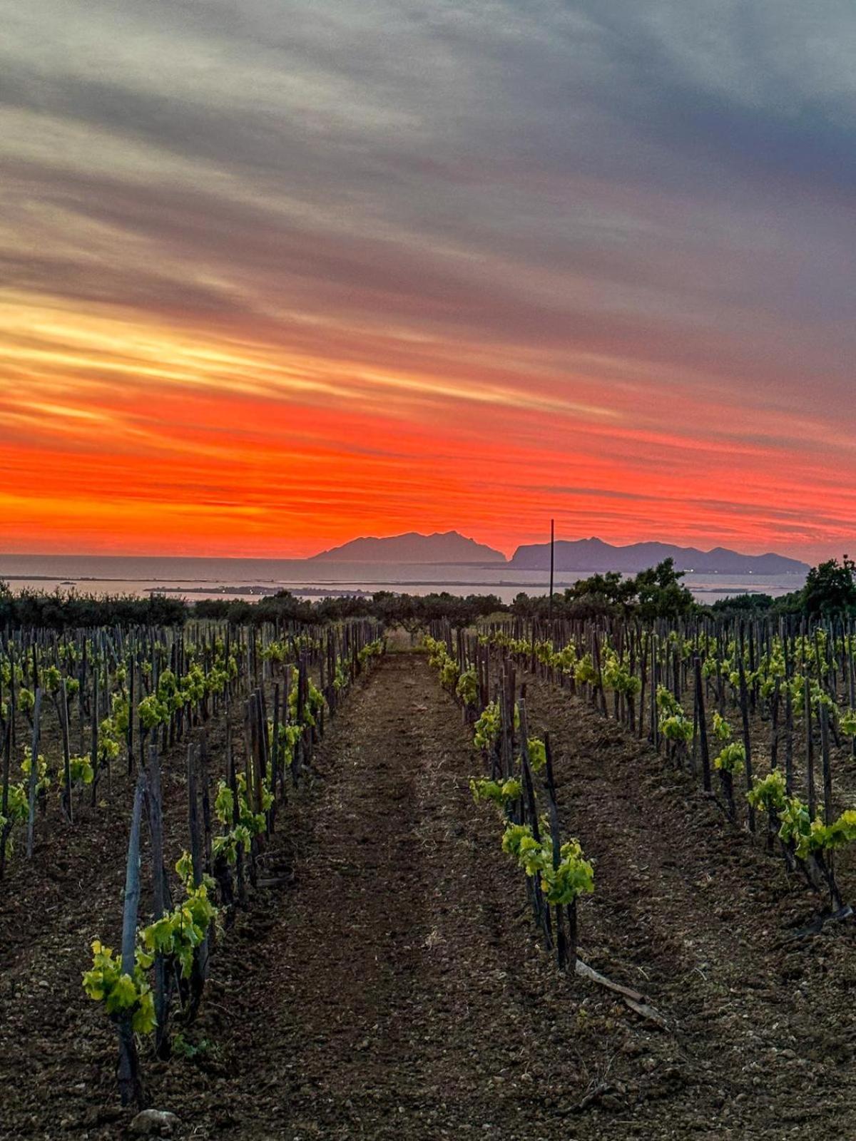 Agriturismo Baglio Donnafranca Wine Resort Marsala Kültér fotó